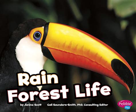 Book cover: Rain forest life